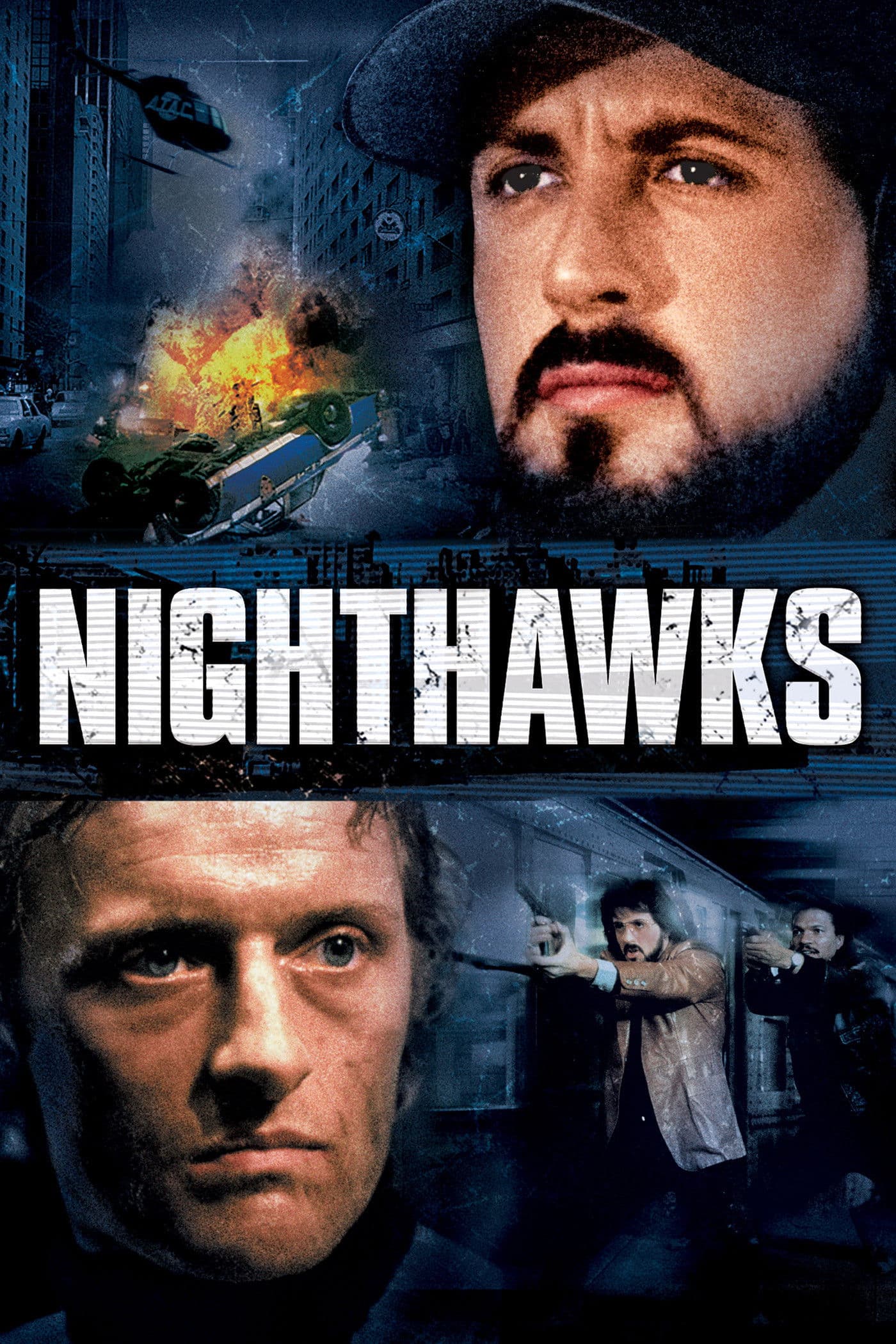 Noční dravci