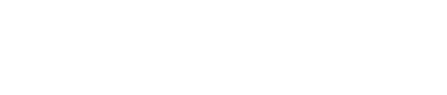 Lví král