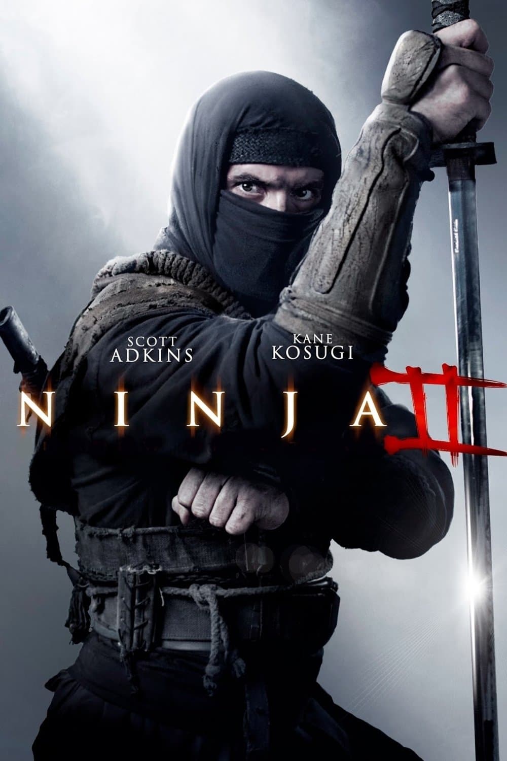 Ninja 2: Pomsta