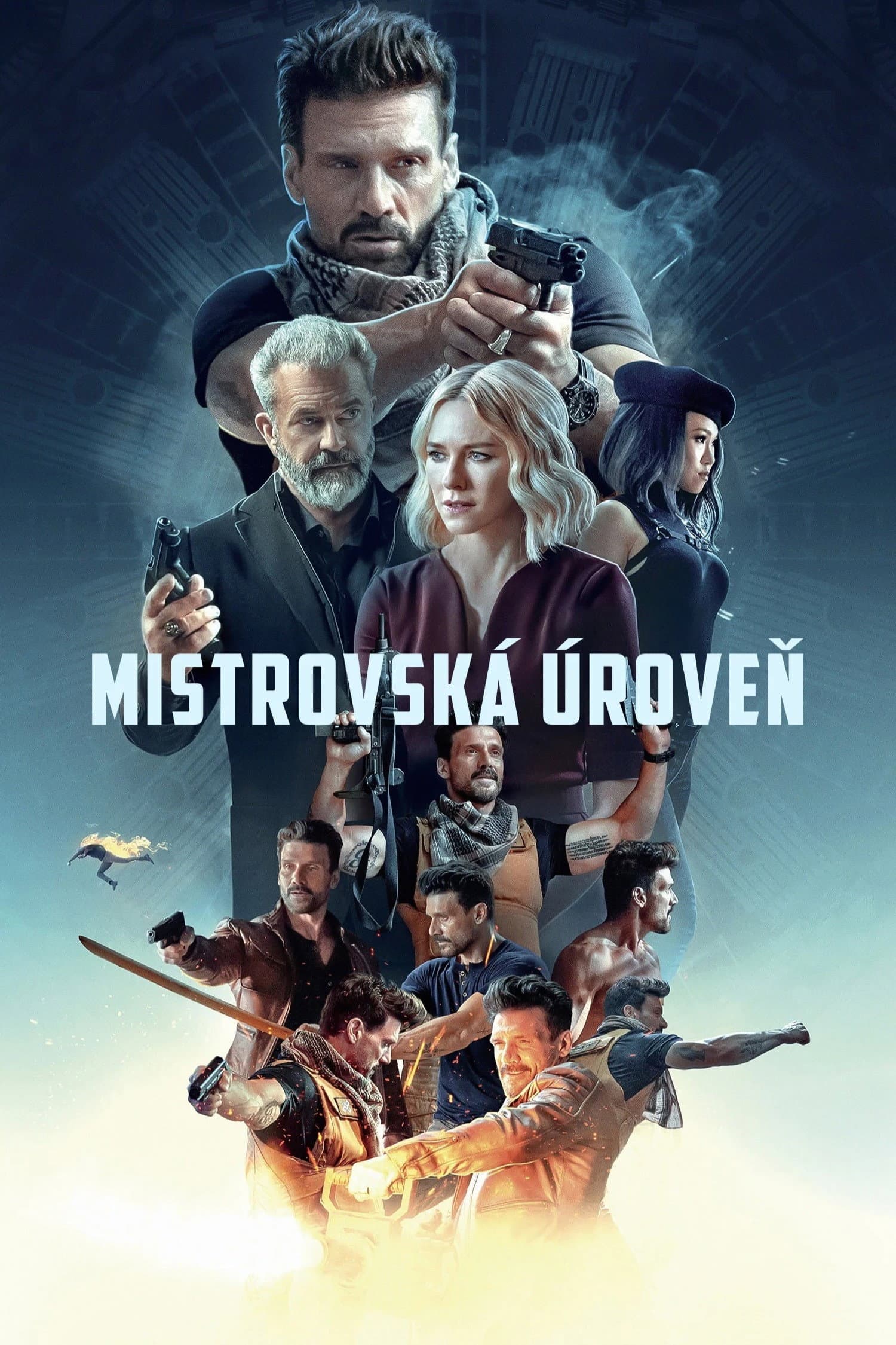 Mistrovská úroveň