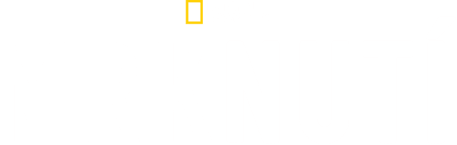 Mrknutí