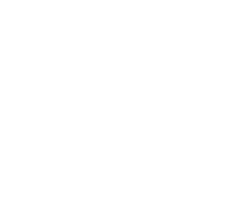 The Wrong Guys