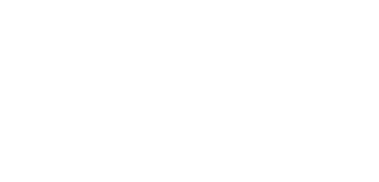 Teta Mick