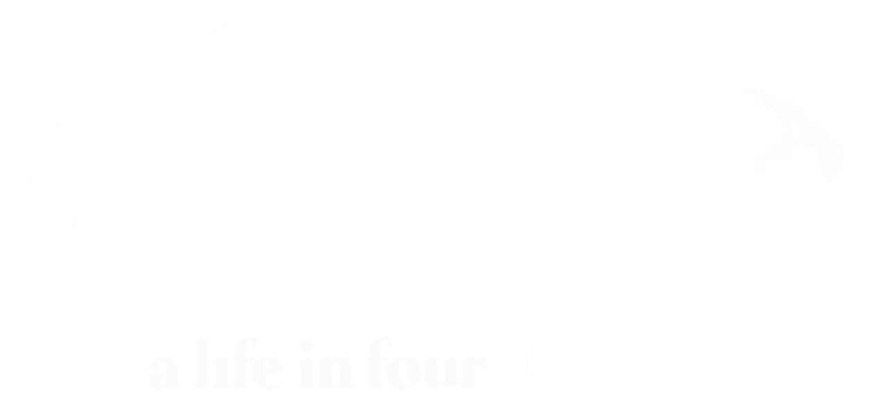 Mishima: A Life in Four Chapters