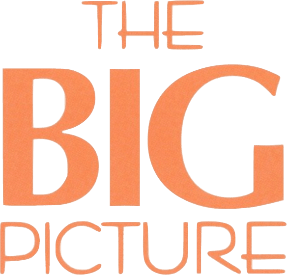 The Big Picture