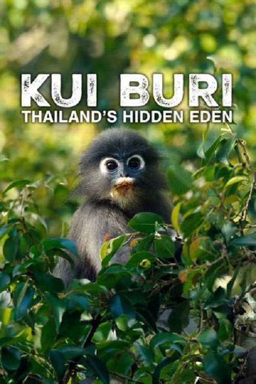 Kui Buri: Thailand's Hidden Eden