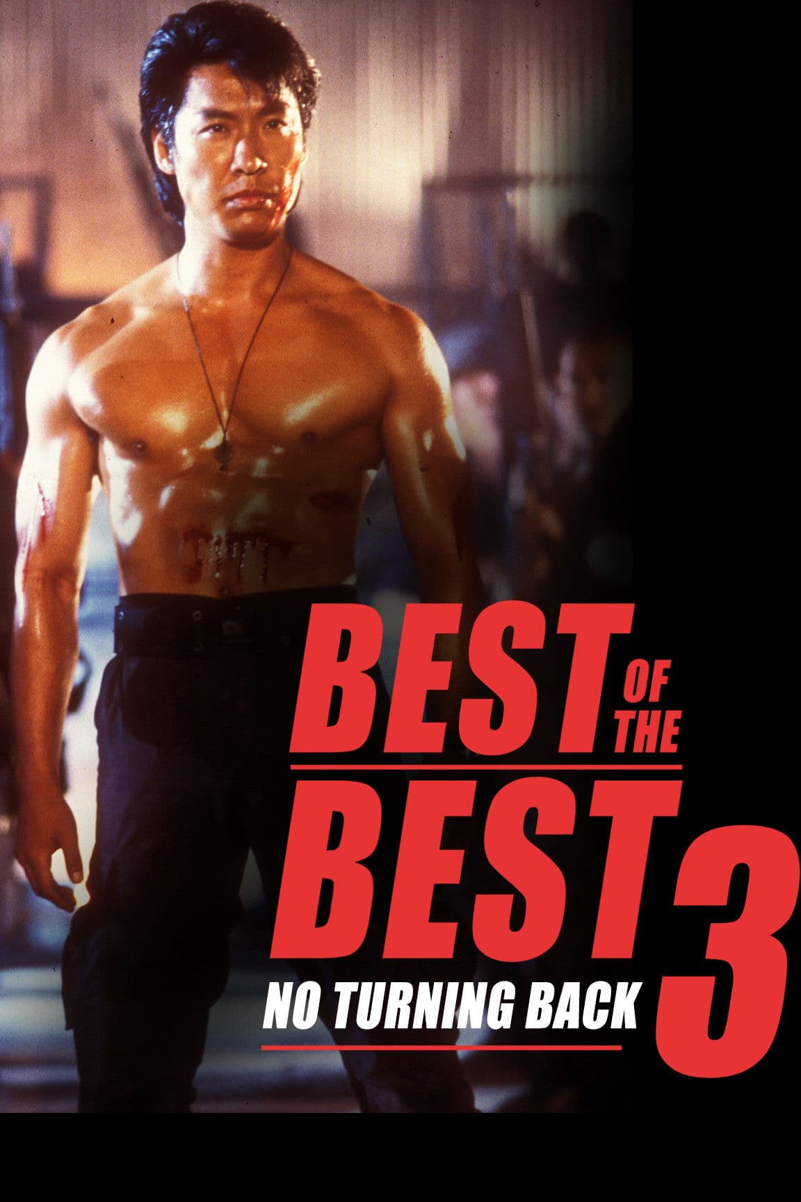 Karate tiger 7: Nejlepší z nejlepších 3 - Není cesty zpět
