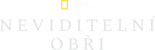 Neviditelní obři