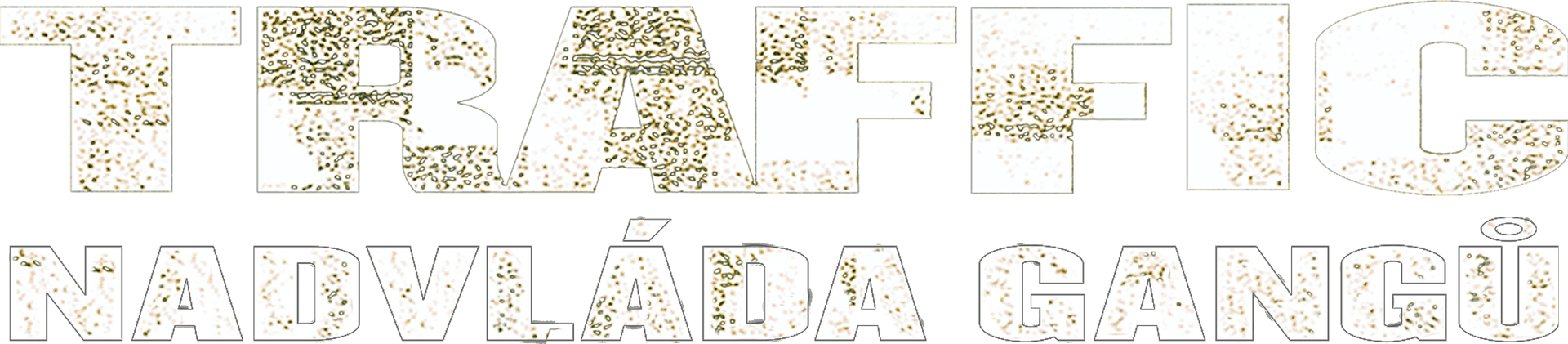 Traffic – Nadvláda gangů