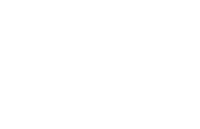 The Engineer