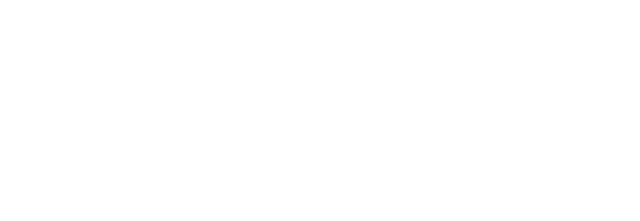 Terminál