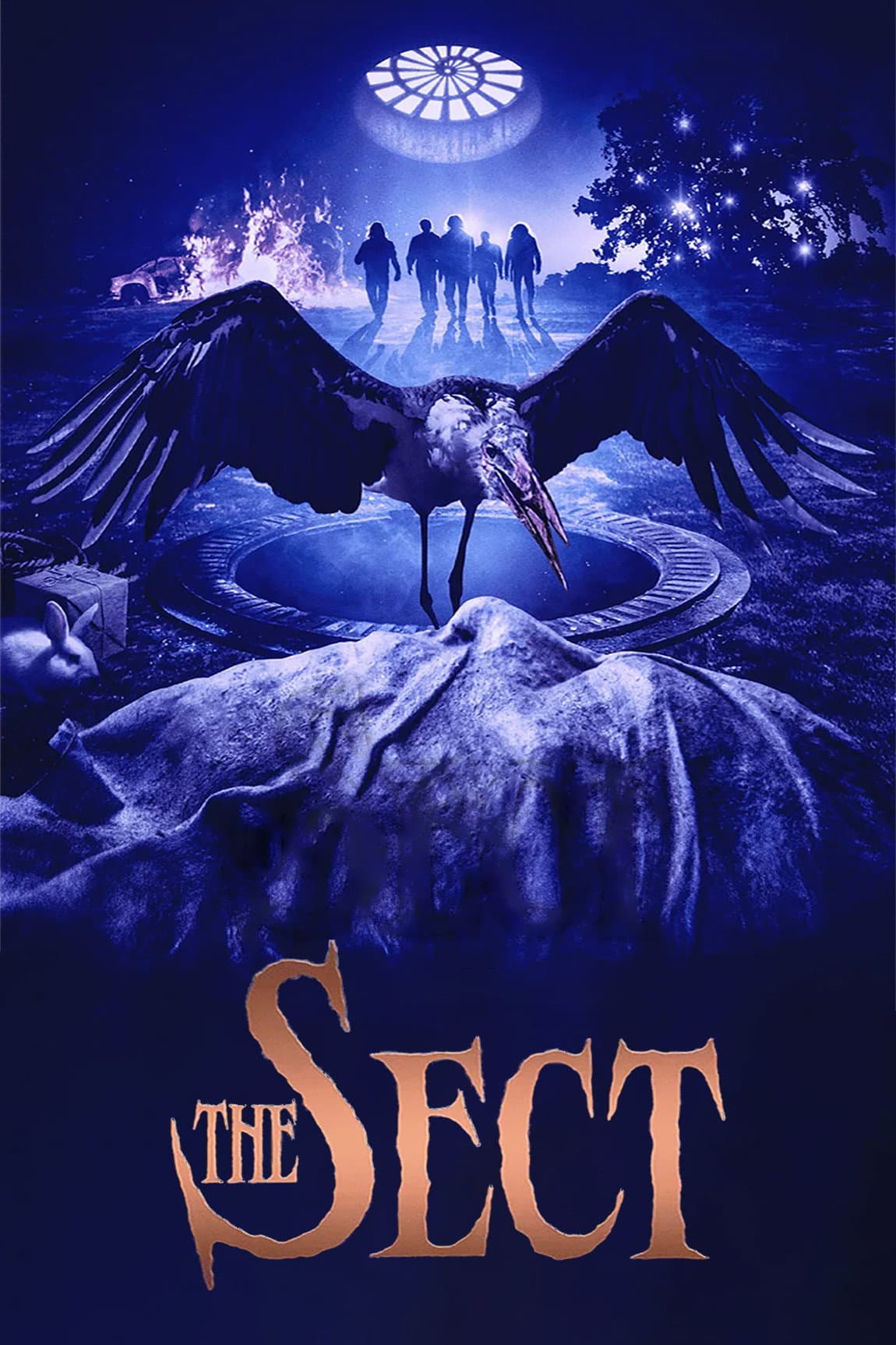 Sekta