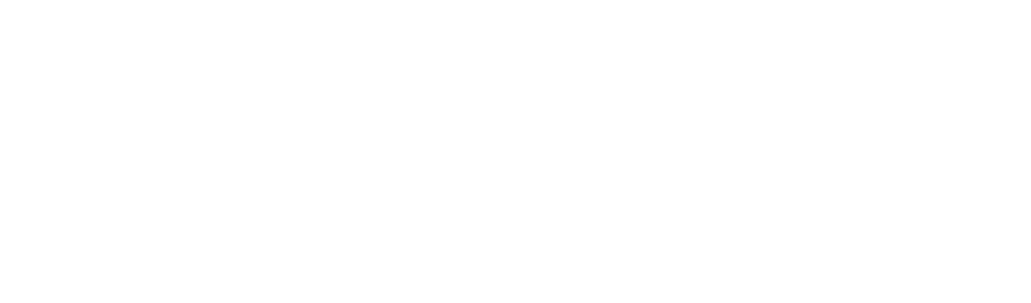 Big Brother