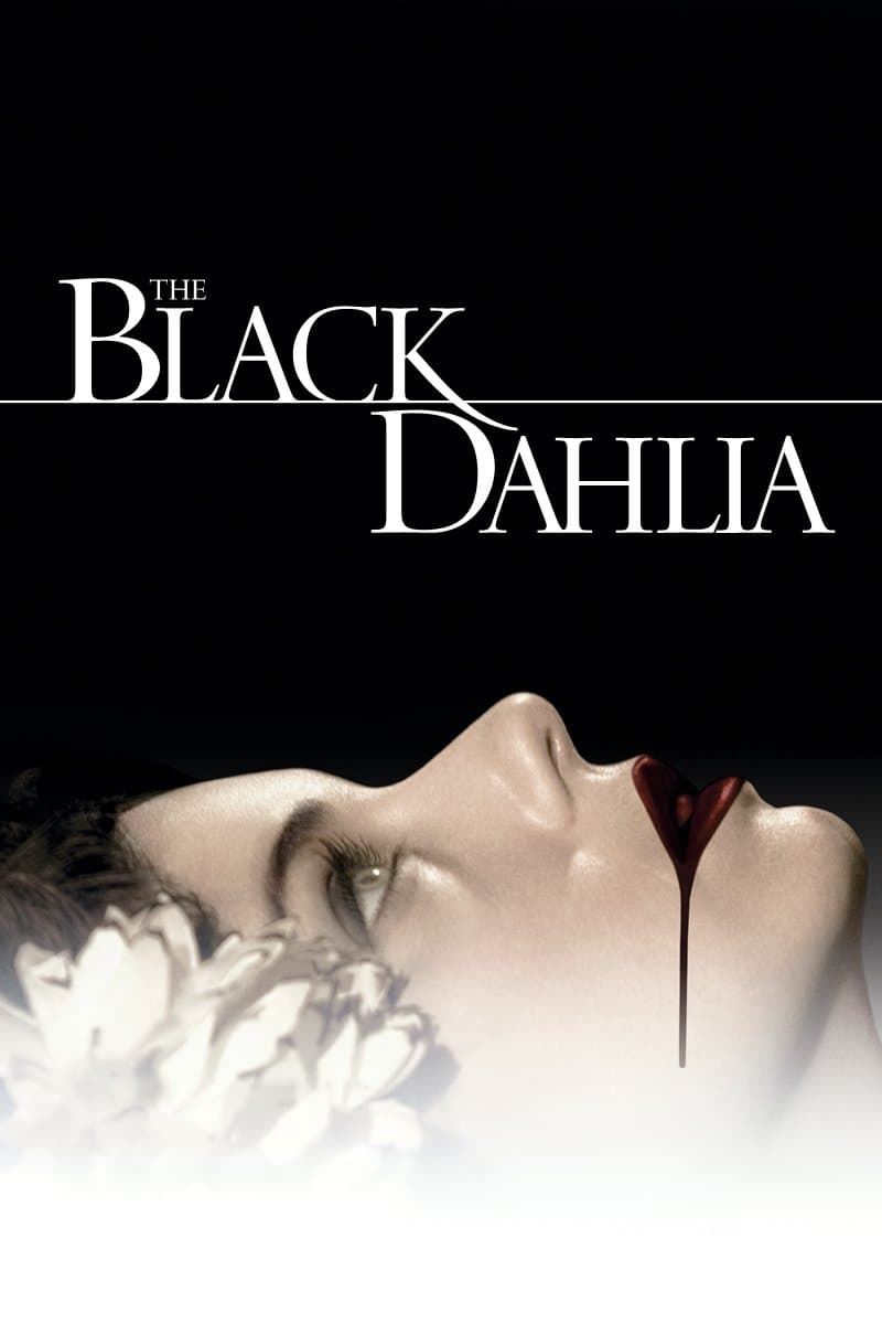 Černá Dahlia