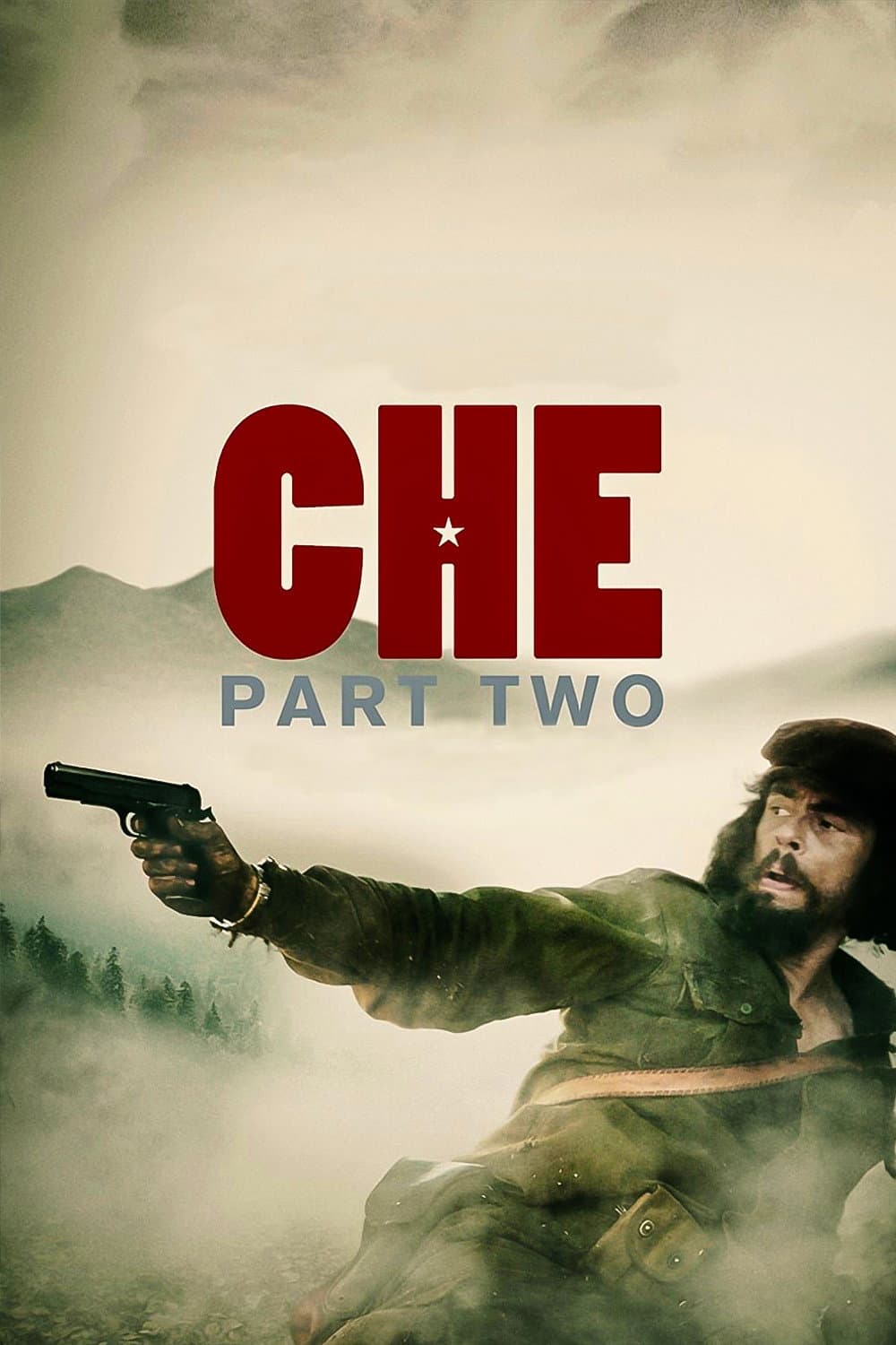 Che Guevara: Partyzánská válka