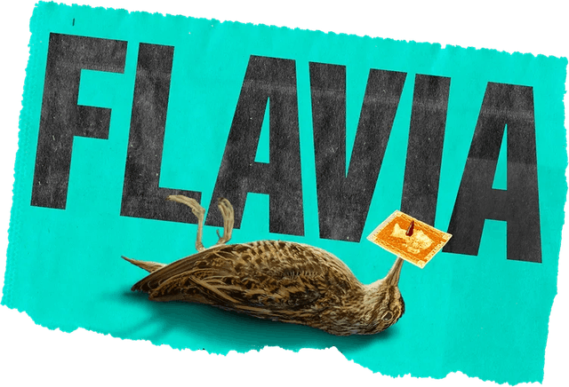 Flavia