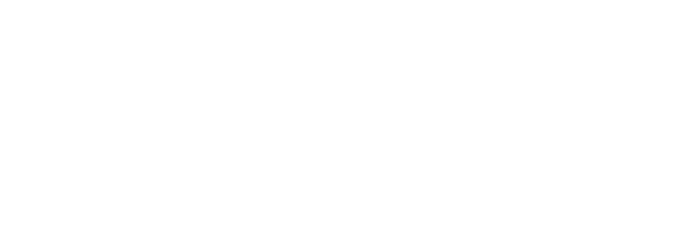 Valčík s Bašírem