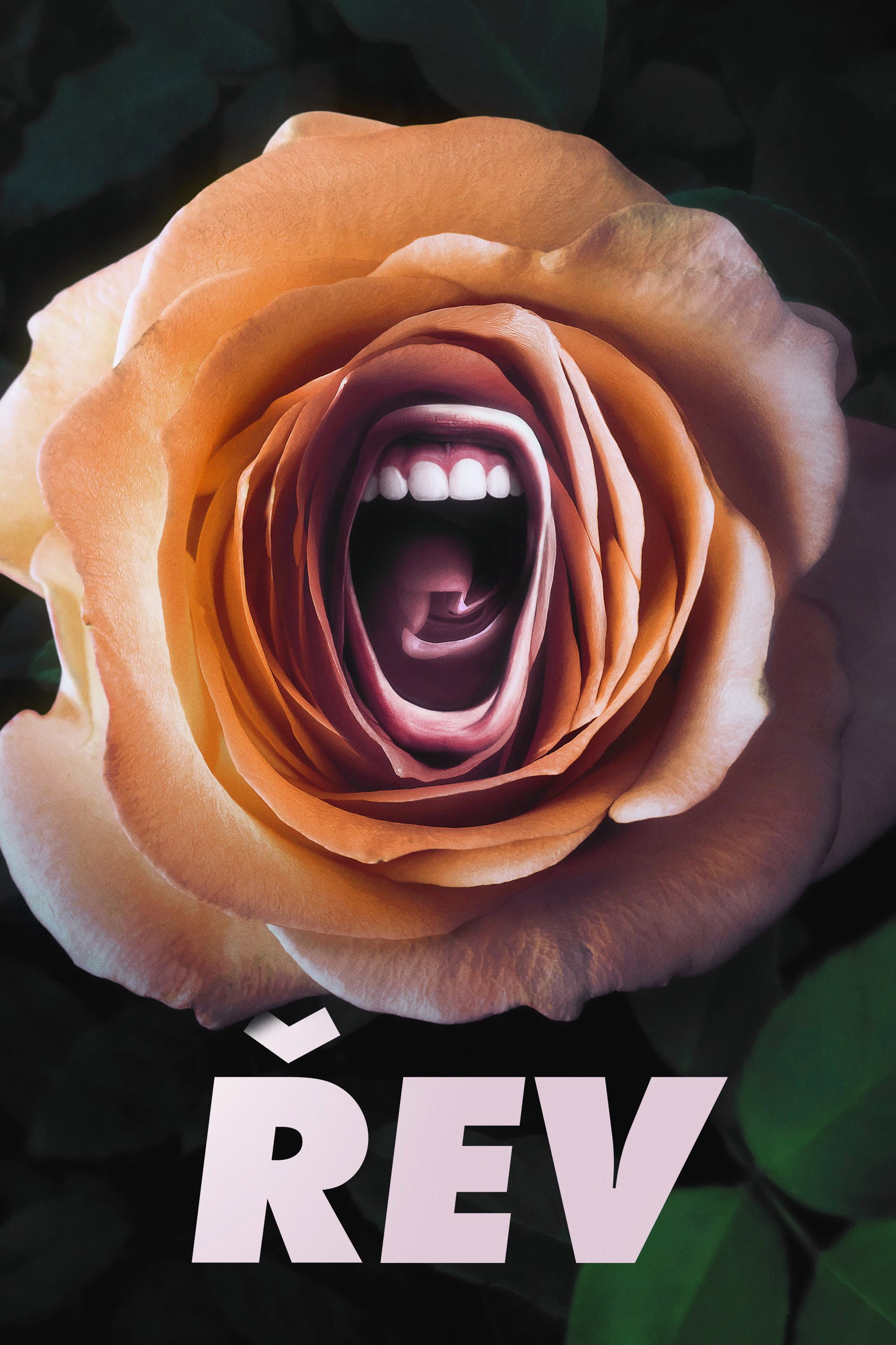Řev