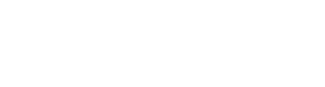 3 Idioti