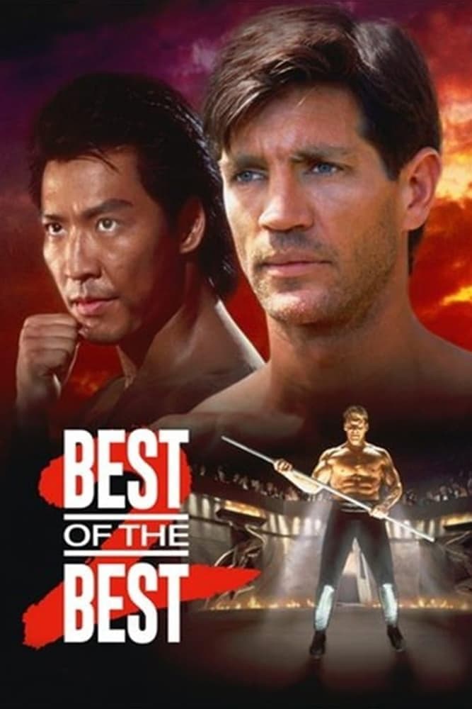 Karate tiger 6: Nejlepší z nejlepších 2