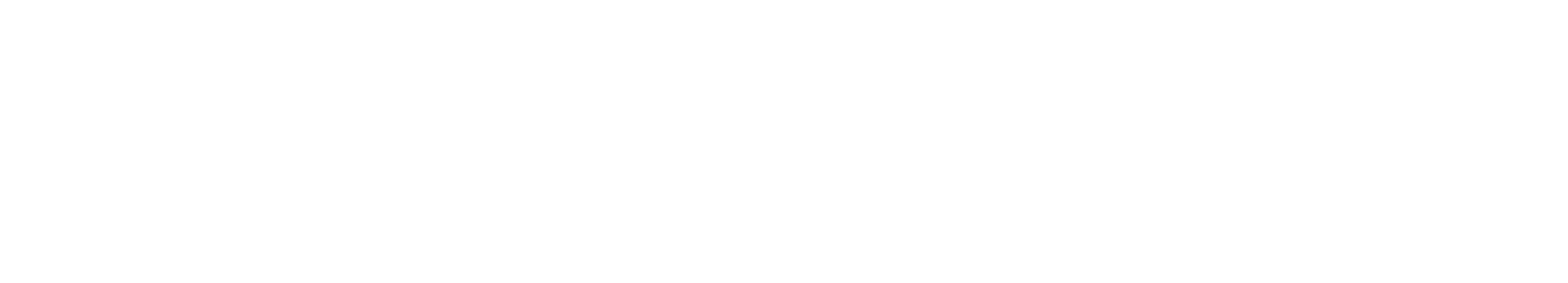 Svědectví o Ann Lee
