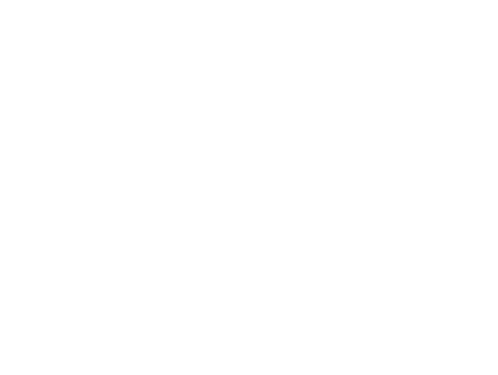 Divoký Spirit