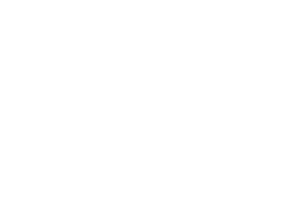 Double Scoop