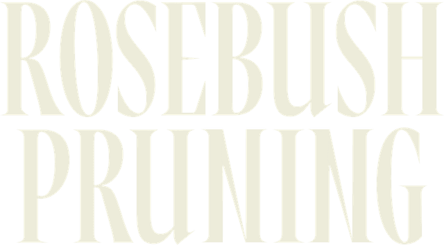 Rosebush Pruning