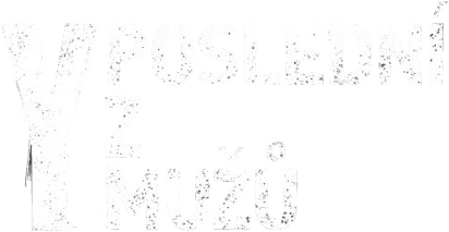 Y: Poslední z mužů